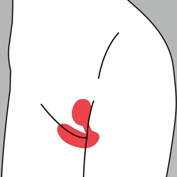 Vivi - Vibrator Kegel Exerciser -  Aneros Other Aneros