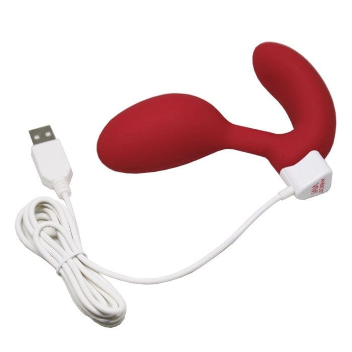 Vivi - Vibrator Kegel Exerciser -  Aneros Other Aneros